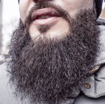 scraggly beard - beard-698509_1920 - pixabay