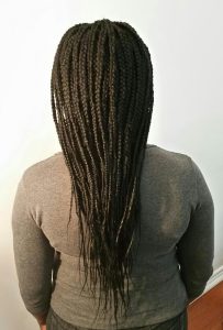 Extension braids (back)